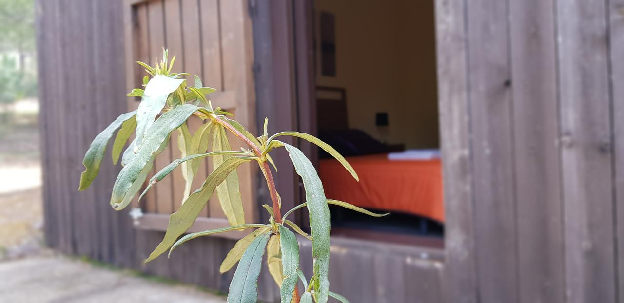 Casas Rurales Cijara Guest House Helechosa Ngoại thất bức ảnh